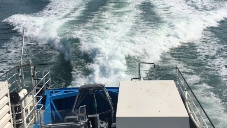 Снимка: МС, архив