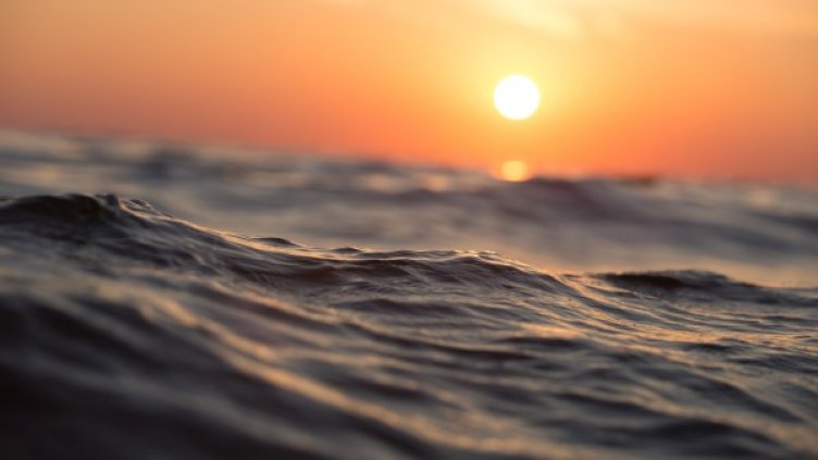 Снимка: pixabay.com