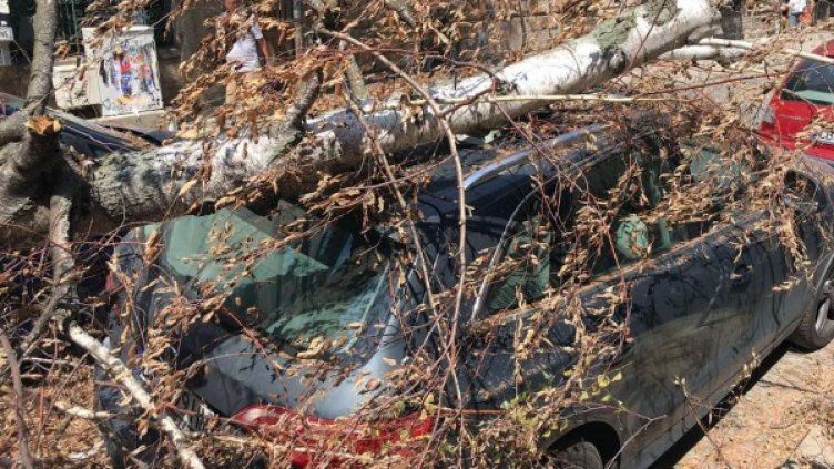 Снимка: Булфото