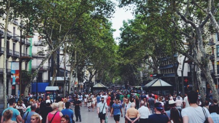 Снимка: pexels.com