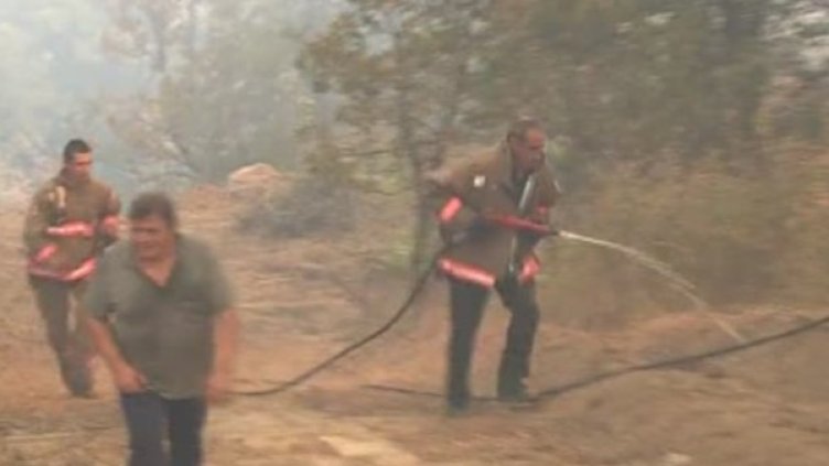 Снимка: Bulgaria ON AIR