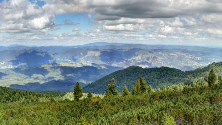 Снимка: архив, Булфото