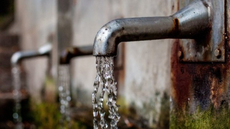 Снимка: Pixabay