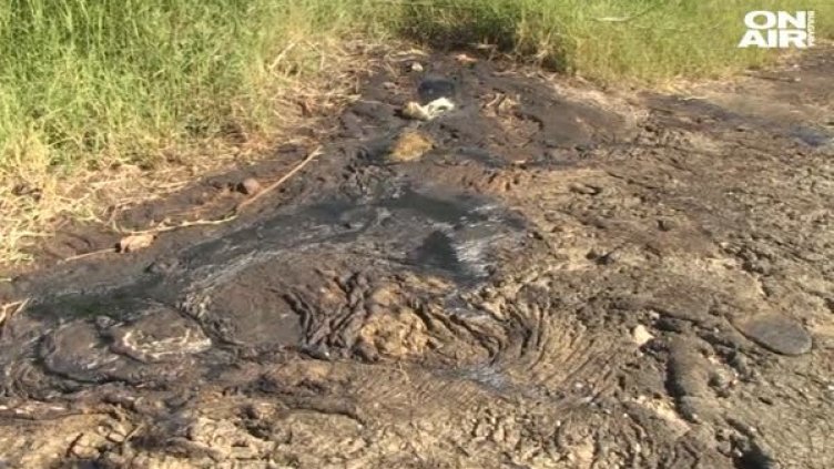 Снимка: Bulgaria On Air