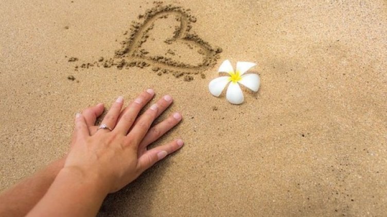 Снимка: Pixabay