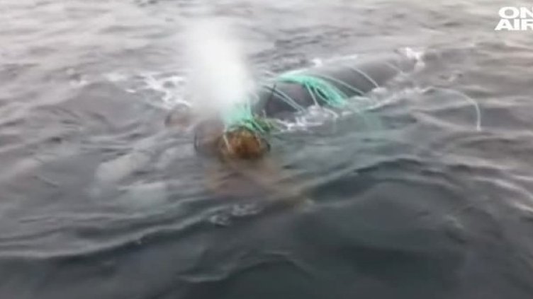 Снимка: Bulgaria On Air