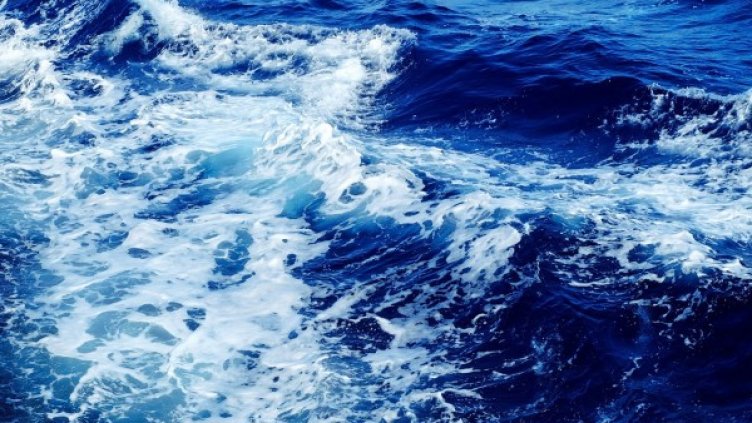 Снимка: pixabay.com