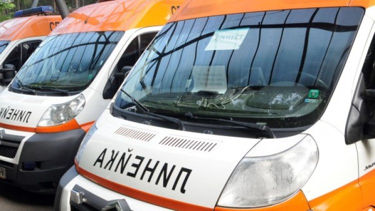 Снимка: Булфото