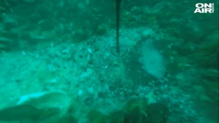 Снимка: Bulgaria ON AIR