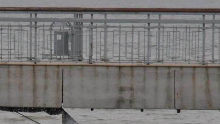 Снимка: Булфото, архив