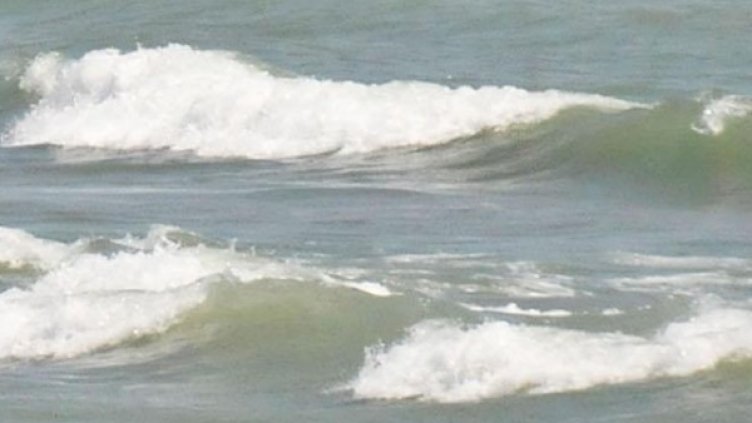 Снимка: архив, Булфото