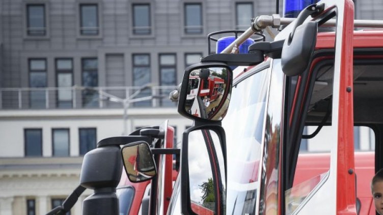 Снимка: архив "Булфото"