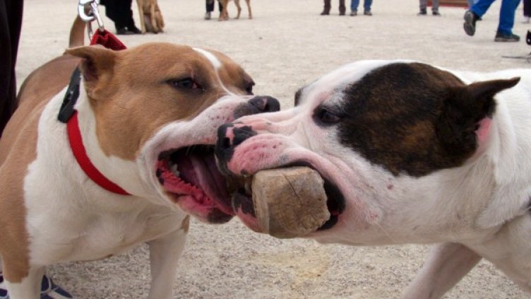 Снимка: Архив, Reuters