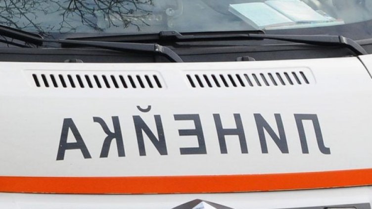 Снимка: Булфото, архив