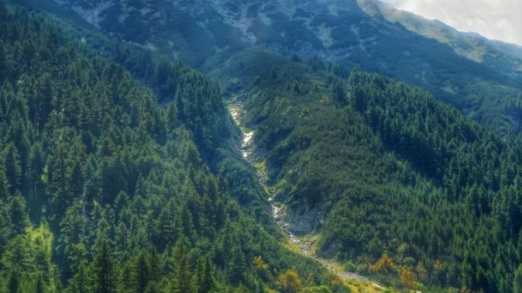 Снимка: Булфото, архив