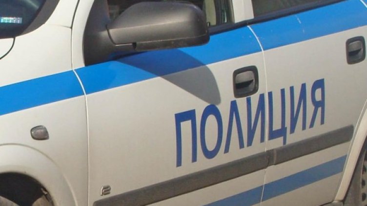 Снимка: Архив, Булфото