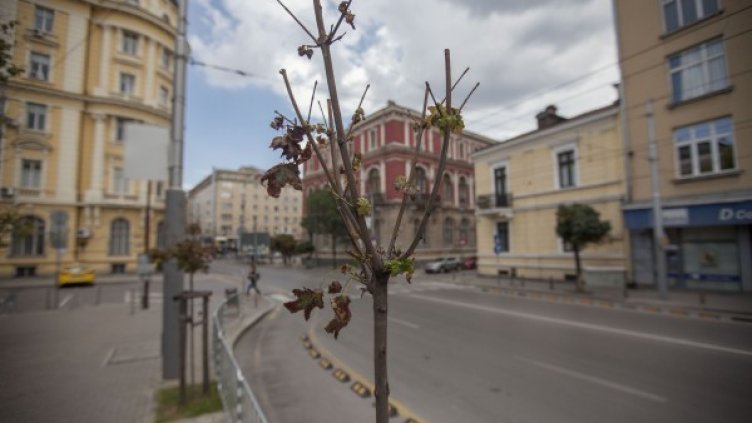 Снимка: Facebook