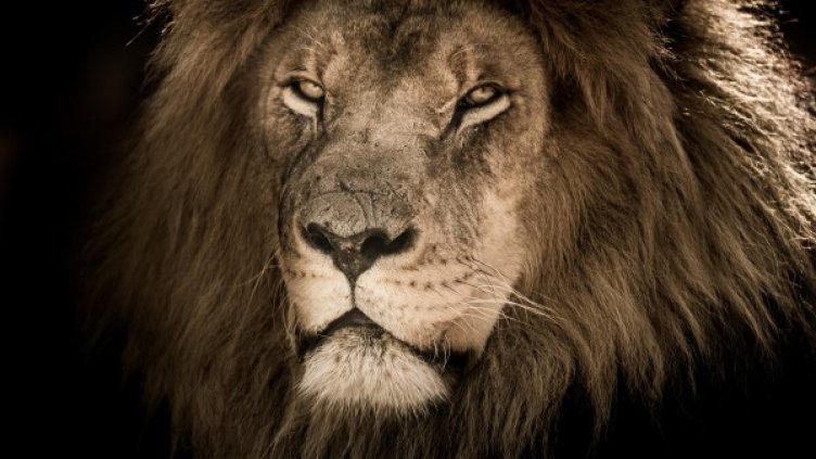 Снимка: Pixabay