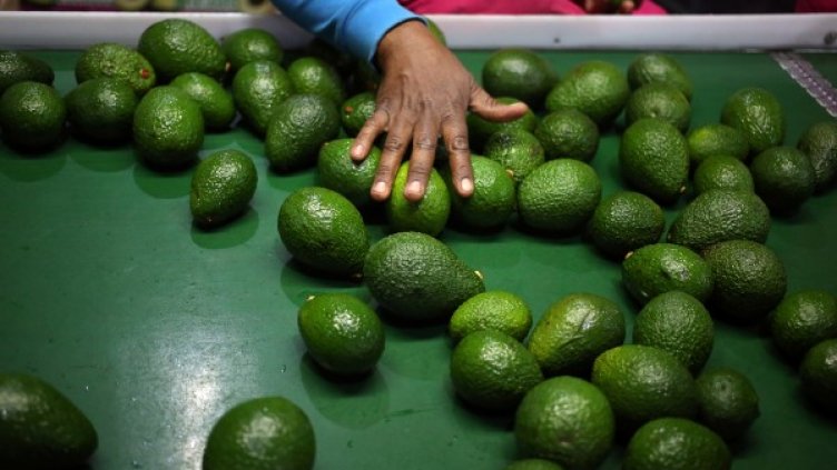 Снимка: архив, Reuters