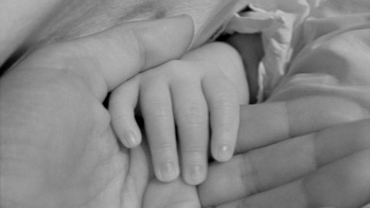 Снимка: Pixabay