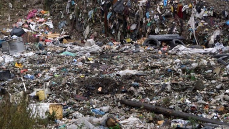 Снимка: Архив, Булфото