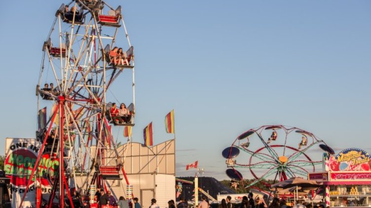 Снимка: Pexels