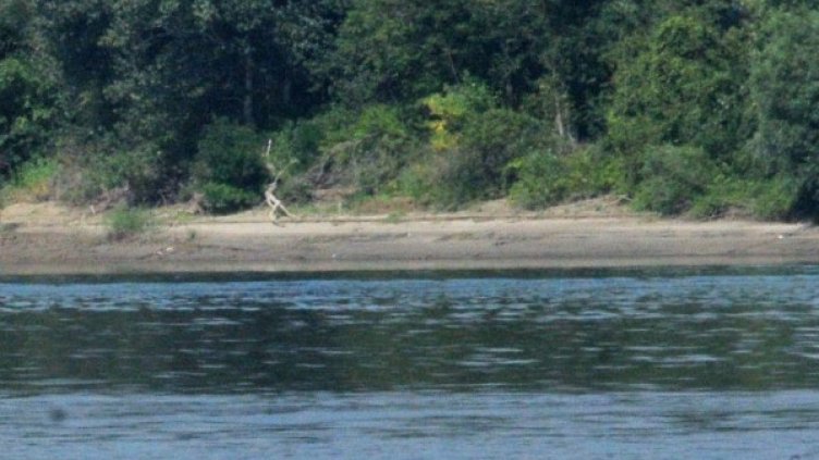 Снимка: Архив, Булфото