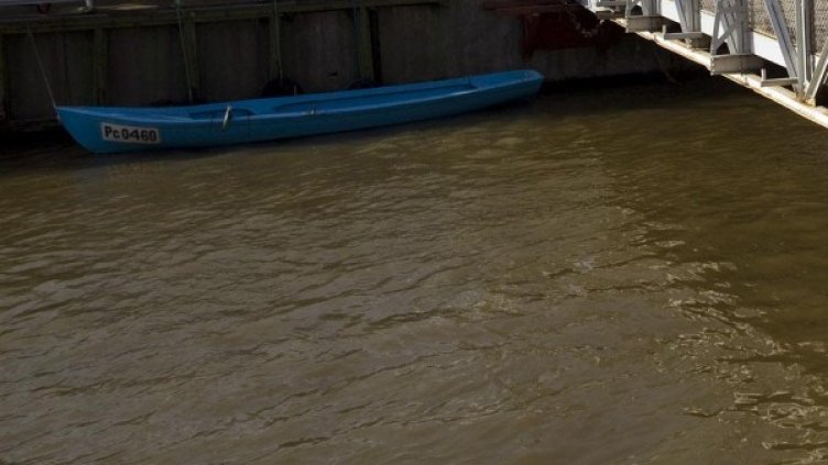 Архив: Булфото