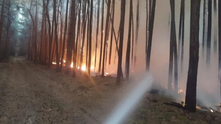 Снимка: Reuters