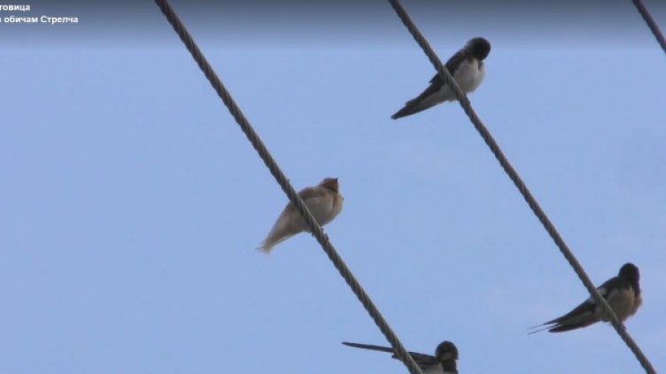 Снимка: Facebook