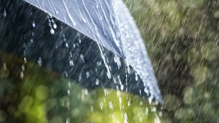 Снимка: flickr