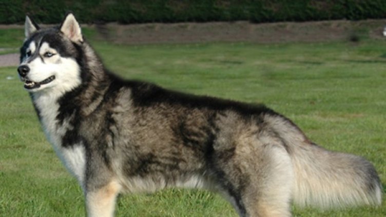 Снимка: архив Reuters