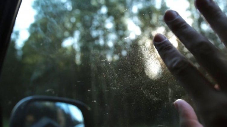 Снимка: flickr