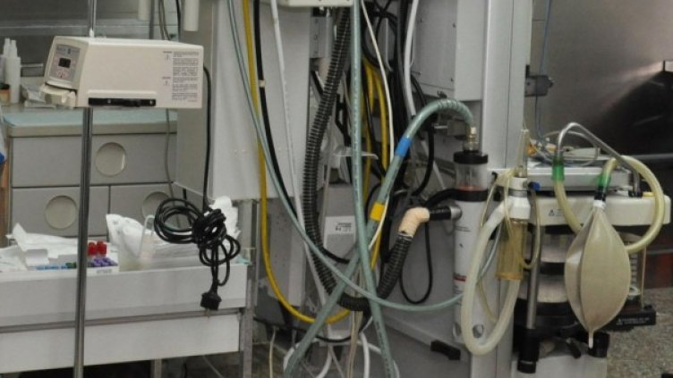 Снимка: архив, БулФото