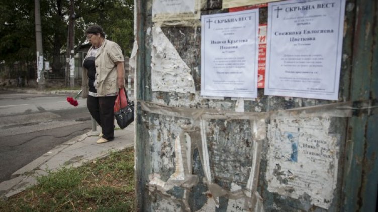 Снимка: Димитър Кьосемарлиев, Dnes.bg