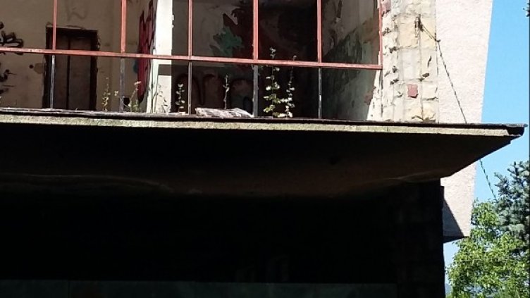 Снимка: HelpBook