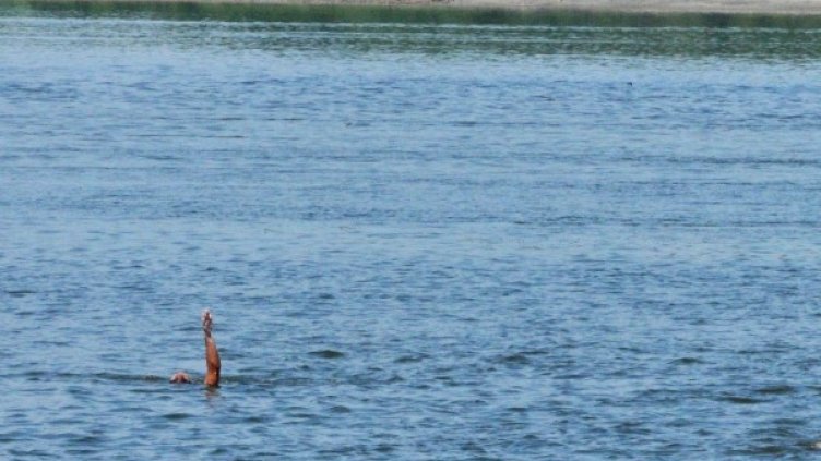 Снимка: Булфото, архив