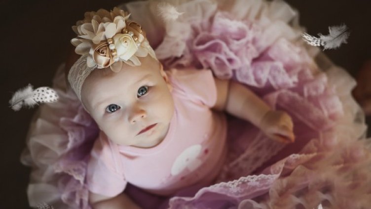 снимка: Pixabay