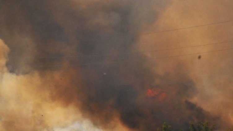 Архив: Булфото