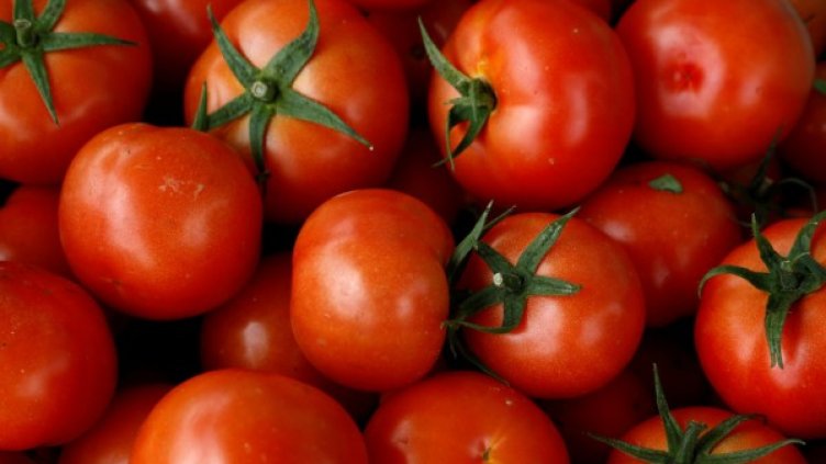 Снимка: архив, Reuters