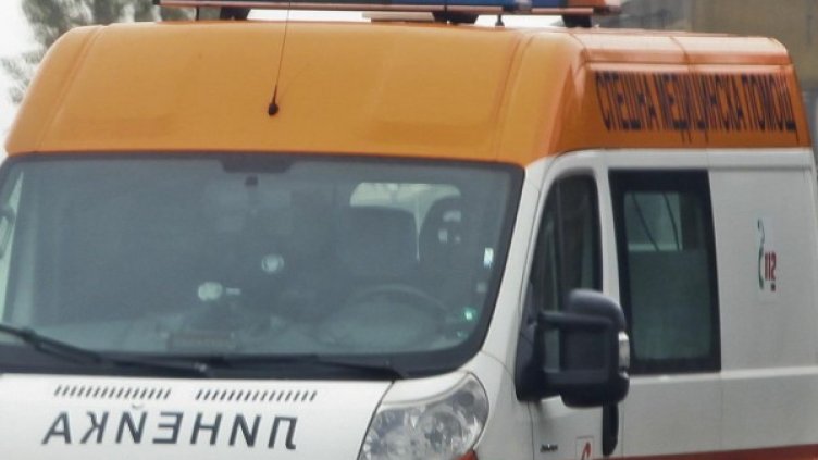 Снимка: Архив, Булфото