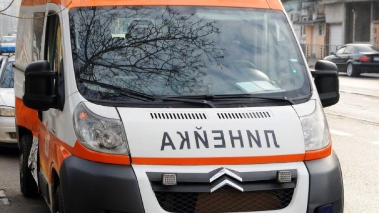 Снимка: Архив, Булфото