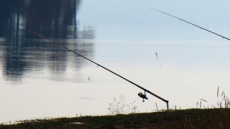 Снимка: архив, БулФото