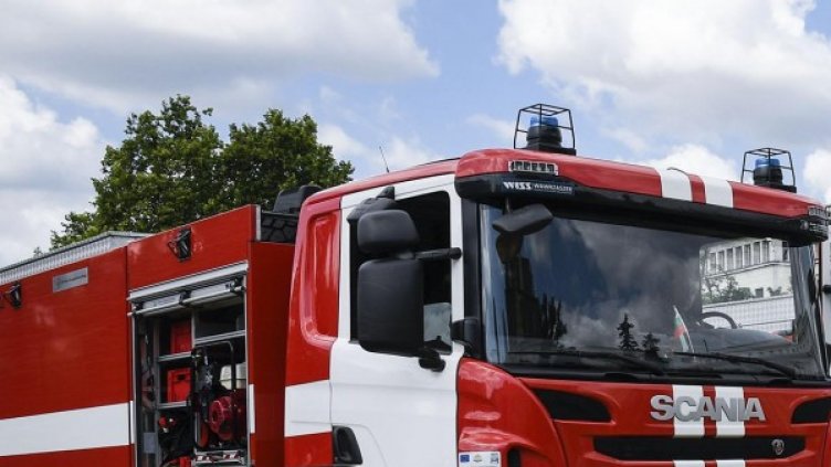 Снимка: Архив, Булфото