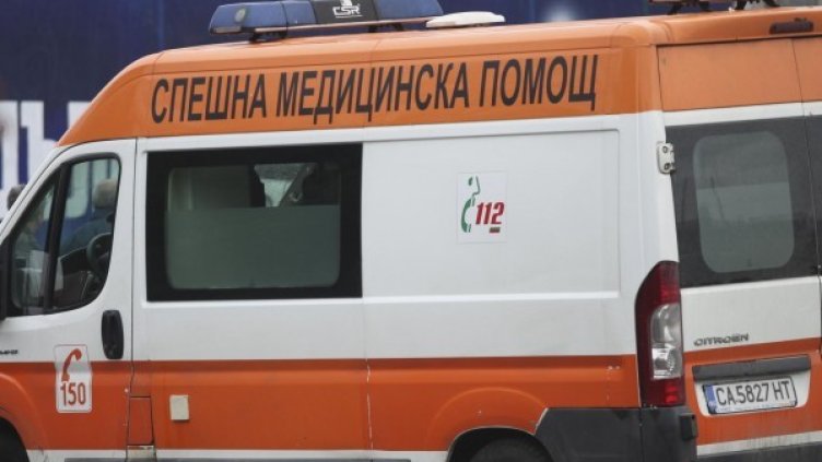 Снимка: Архив, Булфото