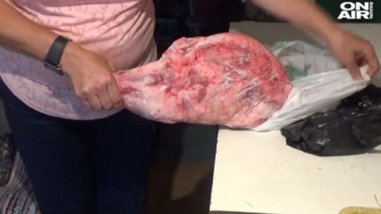 Снимка: Bulgaria On Air