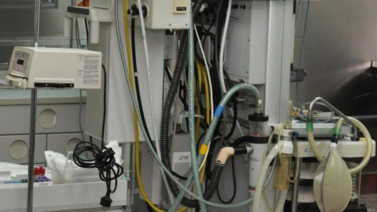 Снимка: архив, БулФото