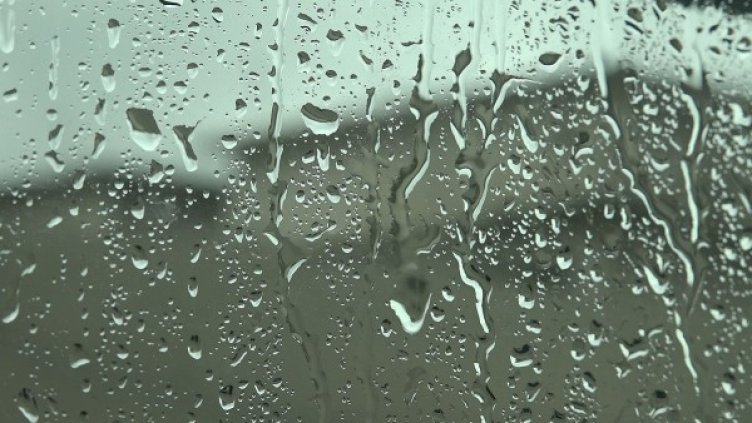 Снимка: flickr