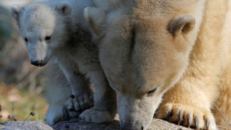 Снимка: архив, Reuters