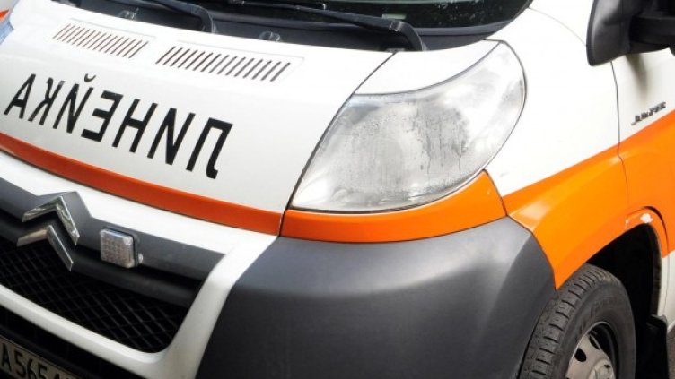 Снимка: Архив, Булфото